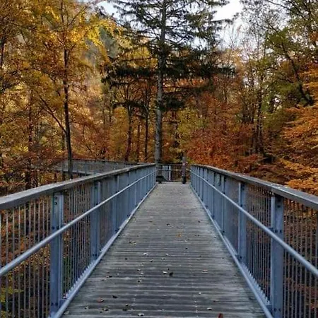Reese- Horstmann Mit Hallenbad Und Sauna, Wlan Harz Zu Jeder Jahreszeit *