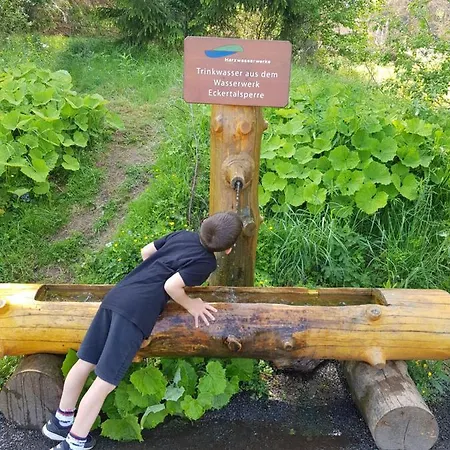 Reese- Horstmann Mit Hallenbad Und Sauna, Wlan Harz Zu Jeder Jahreszeit * Bad Harzburg