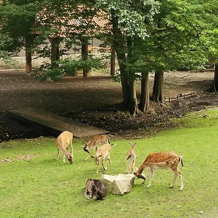 Reese- Horstmann Mit Hallenbad Und Sauna, Wlan 