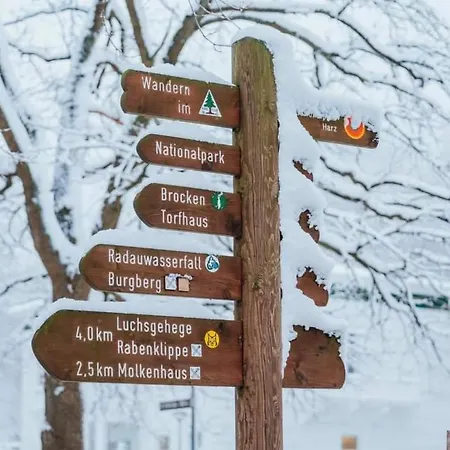 Reese- Horstmann Mit Hallenbad Und Sauna, Wlan Harz Zu Jeder Jahreszeit Apartment