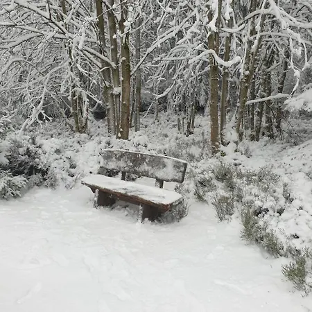 Reese- Horstmann Mit Hallenbad Und Sauna, Wlan 