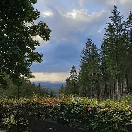 Apartment Reese- Horstmann Mit Hallenbad Und Sauna, Wlan Harz Zu Jeder Jahreszeit