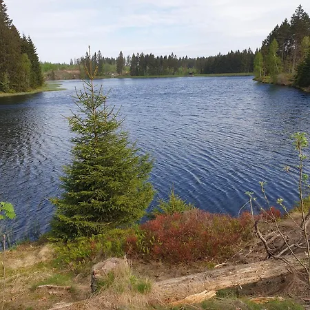 Reese- Horstmann Mit Hallenbad Und Sauna, Wlan Harz Zu Jeder Jahreszeit