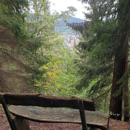 Reese- Horstmann Mit Hallenbad Und Sauna, Wlan 