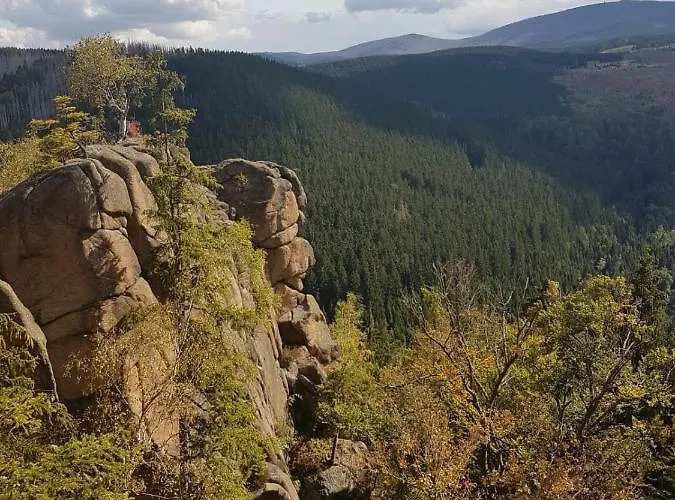 Reese- Horstmann Mit Hallenbad Und Sauna, Wlan 