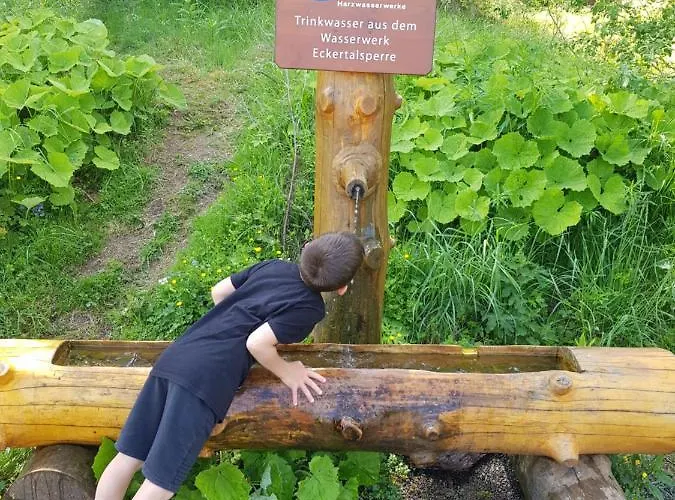 Reese- Horstmann Mit Hallenbad Und Sauna, Wlan 